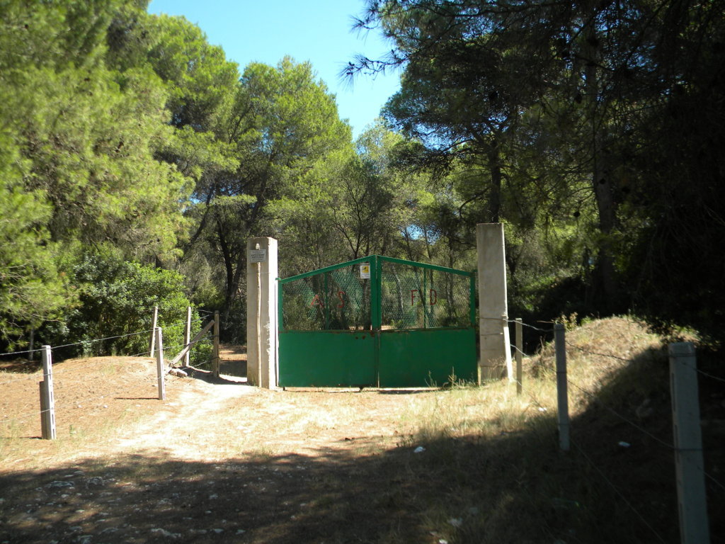 DSCN2635 .JPG